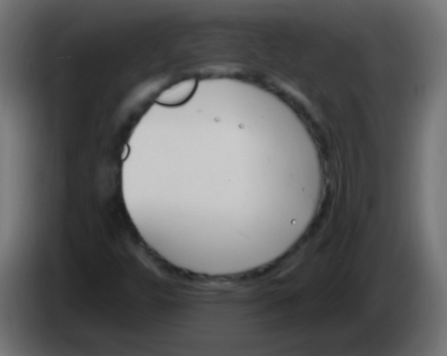 X0000086071448200704132030