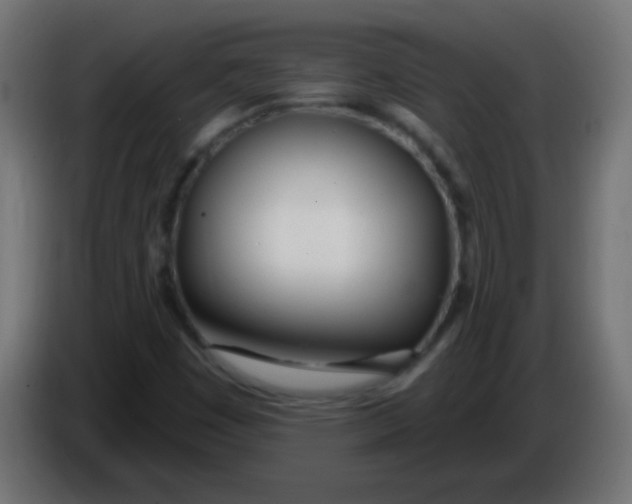 X0000086071449200704132030