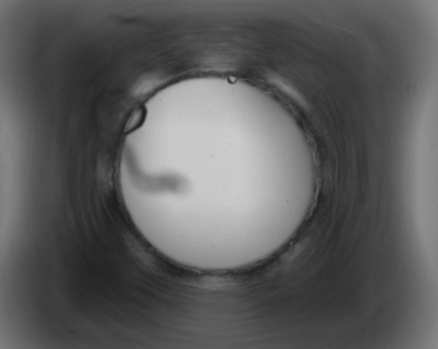 X0000086071451200704132030