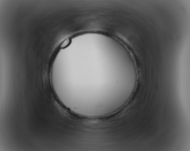 X0000086071452200704132030