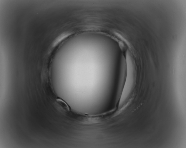 X0000086071453200704132030