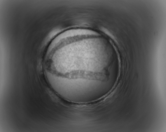 X0000086071455200704132030