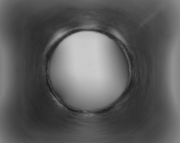X0000086071456200704132030