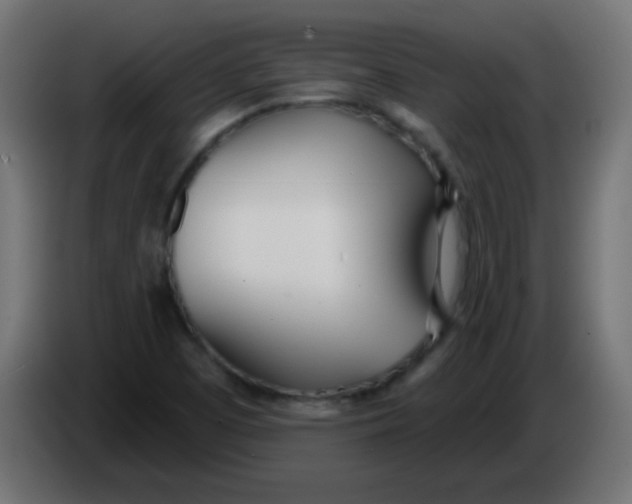 X0000086071457200704132030