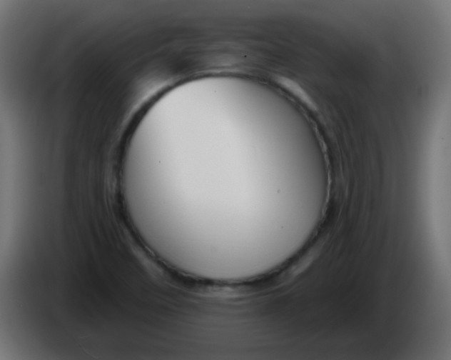 X0000086071458200704132029