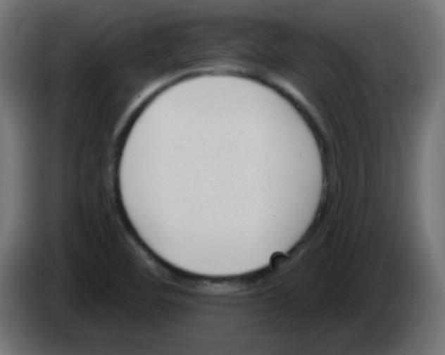 X0000086071460200704132029