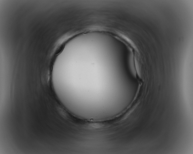 X0000086071461200704132029