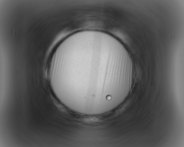 X0000086071462200704132029