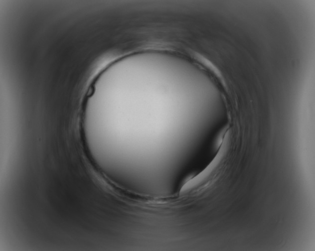 X0000086071463200704132029