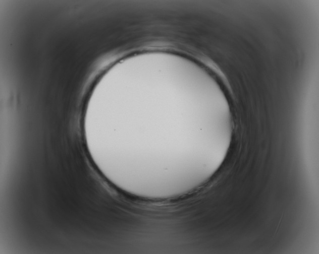 X0000086071464200704132029