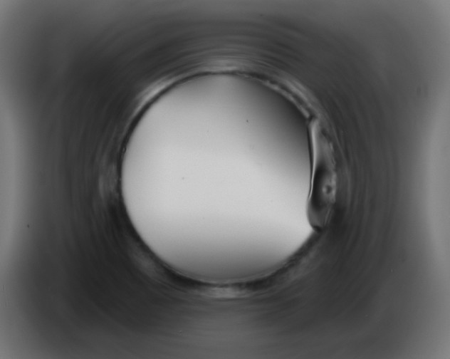 X0000086071465200704132029