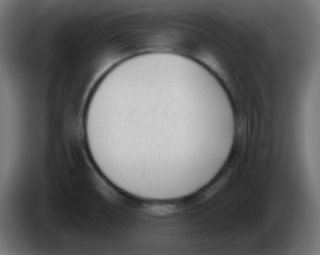 X0000086071466200704132029