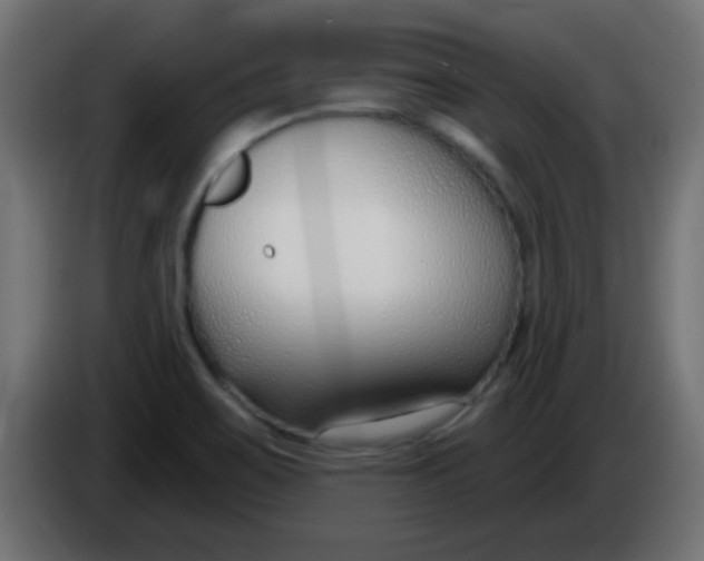 X0000086071467200704132029