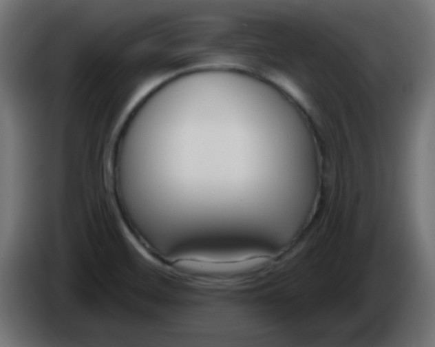 X0000086071468200704132029