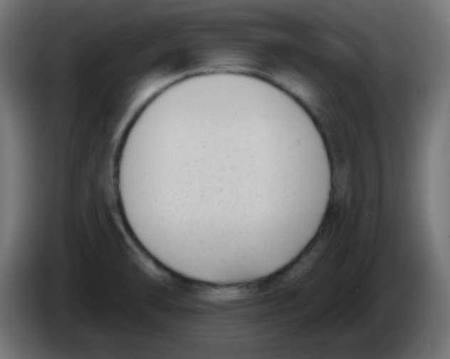 X0000086071470200704132029