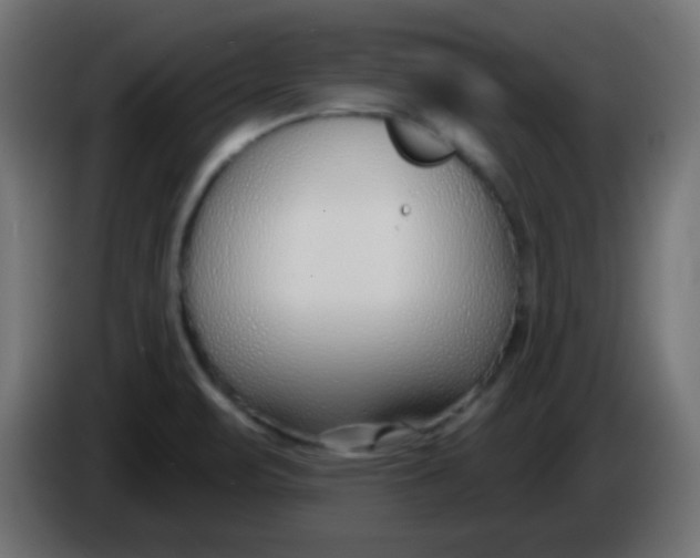 X0000086071471200704132029
