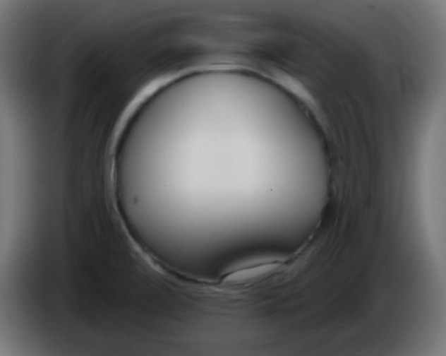 X0000086071472200704132029