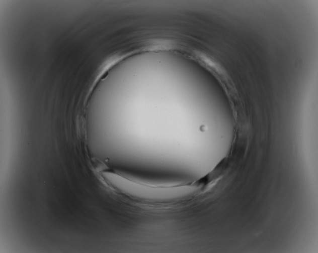 X0000086071473200704132029
