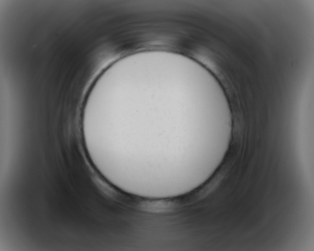 X0000086071474200704132029