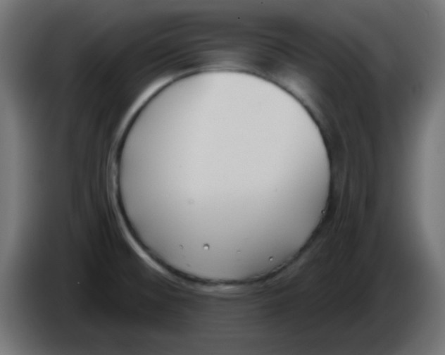X0000086071476200704132029