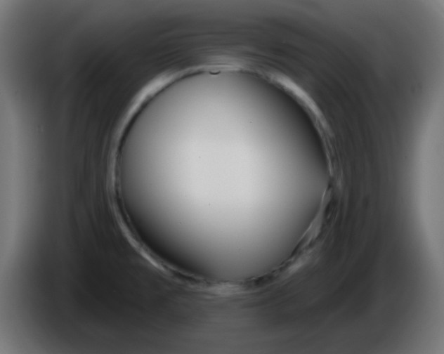 X0000086071477200704132029