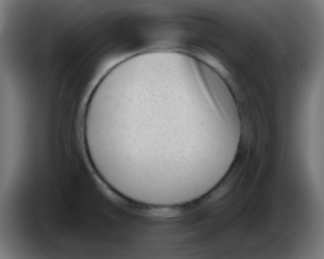 X0000086071478200704132029