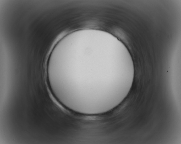 X0000086071479200704132029
