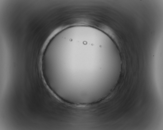 X0000086071480200704132029