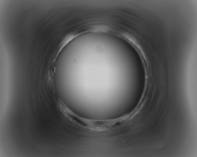 X0000086071481200704132029