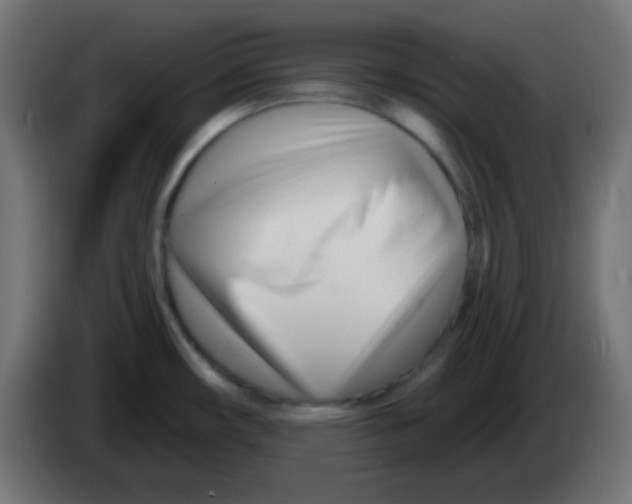 X0000086071482200704132029