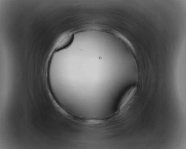 X0000086071483200704132029