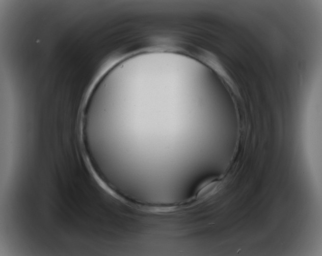 X0000086071484200704132029