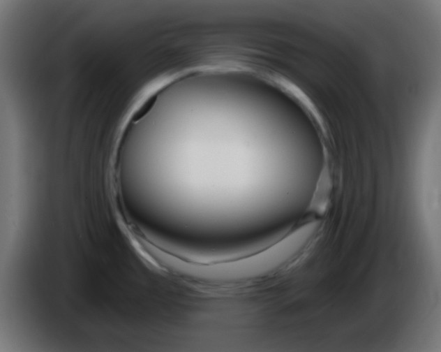 X0000086071485200704132029