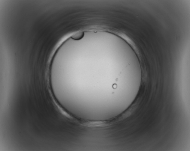 X0000086071486200704132029