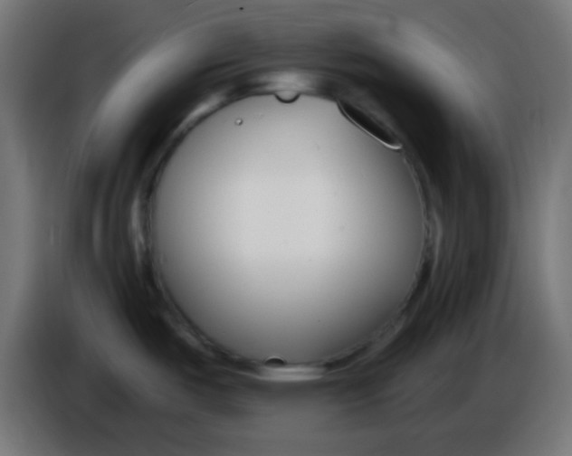 X0000086071487200704132029