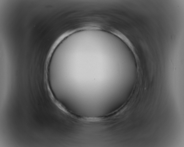 X0000086071488200704132029