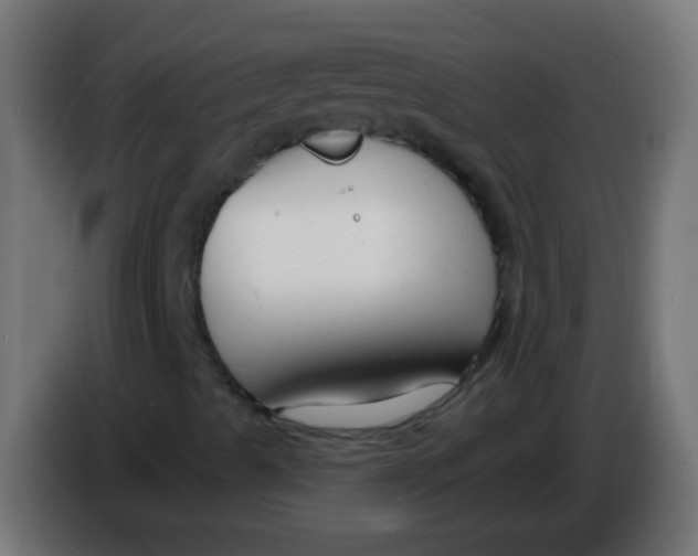 X0000086071489200704132028