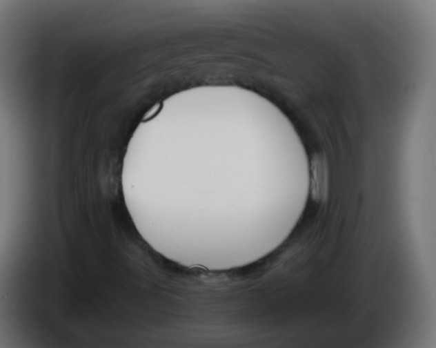 X0000086071491200704132028