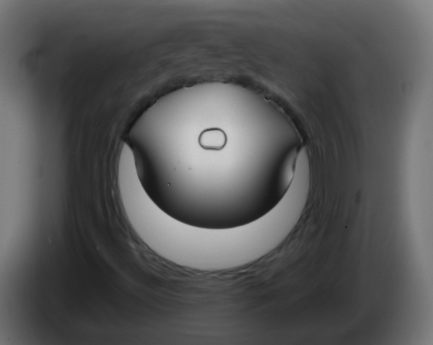 X0000086071492200704132028