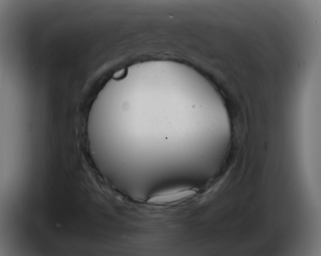 X0000086071494200704132028