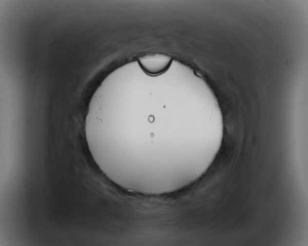 X0000086071495200704132028
