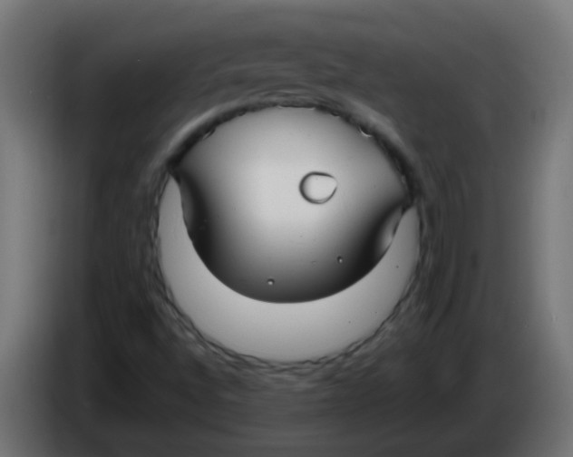 X0000086071496200704132028