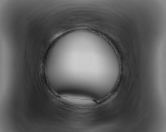 X0000086071497200704132029