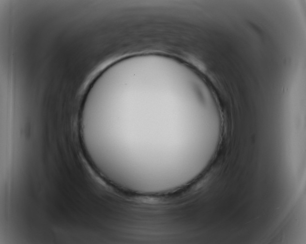 X0000086071500200704132029