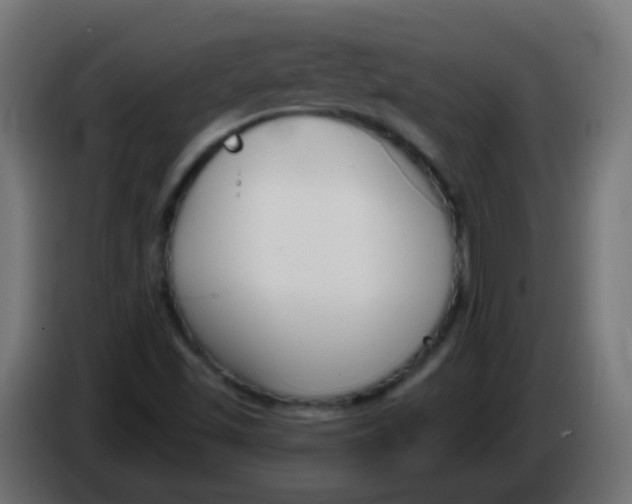 X0000086071501200704132029
