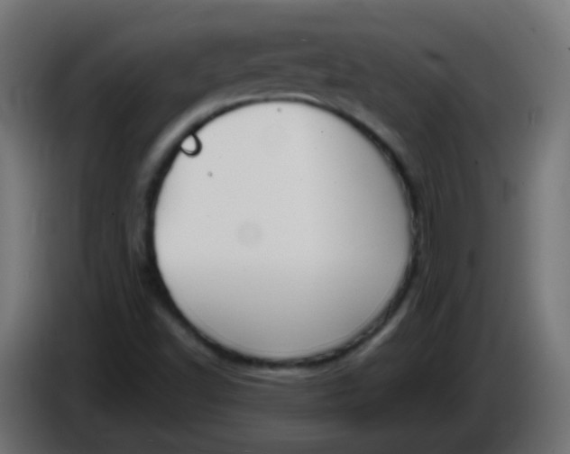 X0000086071502200704132029