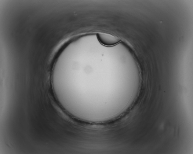 X0000086071503200704132029