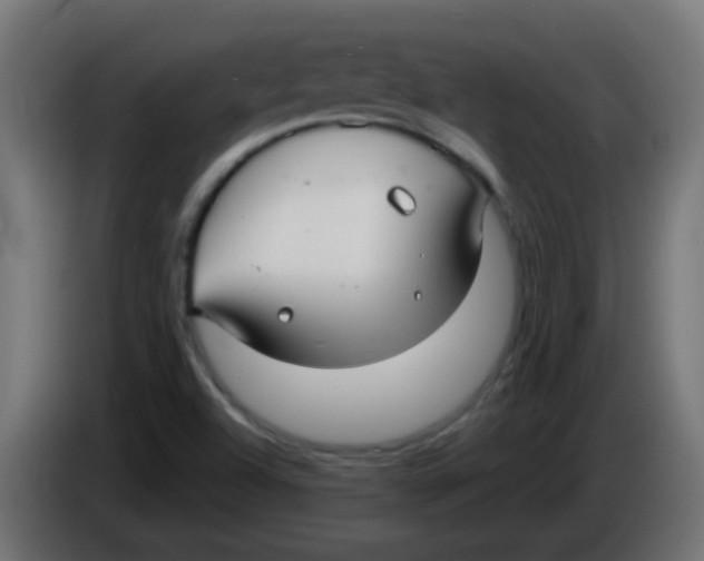 X0000086071504200704132029