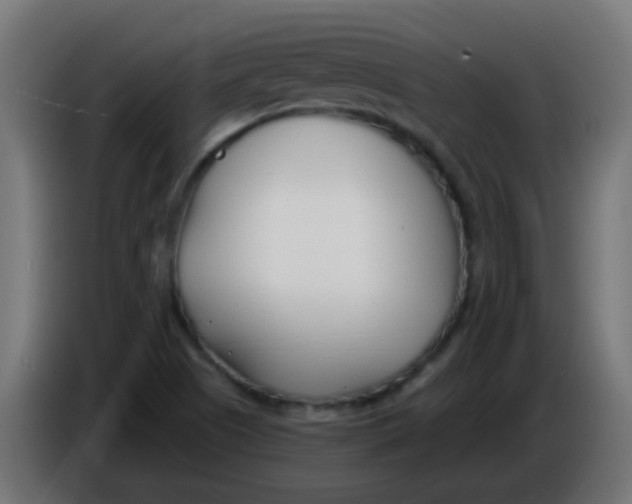 X0000086071505200704132029