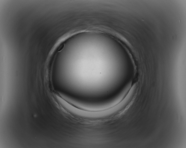 X0000086071506200704132029